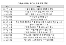 출퇴근 카풀로 겨우 시동 건 韓 모빌리티‥플랫폼 택시 대안될까