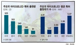 미래 디스플레이 경쟁 퍼스트 무버 놓친 韓
