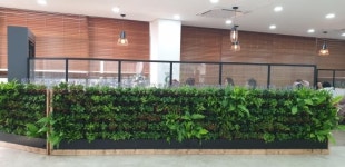 “세종시 종촌동 수직정원 보러 오세요”