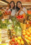 현대百, 봄을 맛봄!…봄 제철 식품 할인 진행