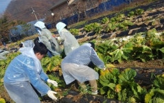 키움, 자발적 진심이 쌓이고 쌓여 ‘행복 키움 사랑 나눔’