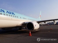 대한항공 제주行 항공기 김포공항 회항 원인은? 버드스트라이크
