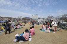 [포토뉴스] 의왕시청 벚꽃축제 시민행복 충전