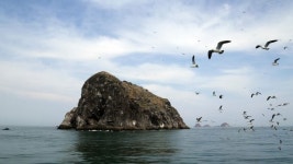 [Weekend 레저] 바람이 먼저 닿는, 그 섬에 가고 싶다..태안, 섬 여행