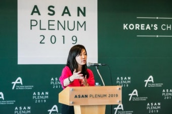 수미 테리 