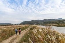 웰니스 관광 거점으로 충주, 제천 신규 선정