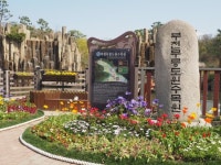 [포토뉴스] 부천무릉도원수목원 튤립