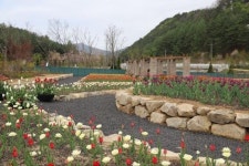 국립백두대간수목원, 형형색색 레인보우가든  조성