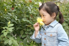 [포토뉴스] 고양국제꽃박람회 원당화훼단지