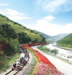 5월 순천만·곡성 기차마을·구례 섬진강서 가족여행 즐기세요