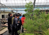 [포토뉴스] 2019고양국제꽃박람회-원당화훼단지