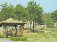 연천군 두루미그린빌리지 DMZ힐링↑
