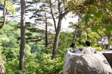 소나무숲 속 온천, 황토석 마사지… 젊어지겠네요 [Weekend 레저]