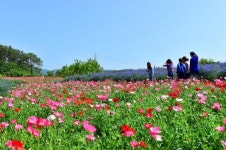 광주광역시 농업기술센터, 힐링농업체험학습장 개장