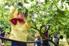 진주시, 농촌일손돕기 ‘구슬땀’