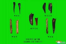북 신풍리 인근서 구석기 후기 유적 발굴