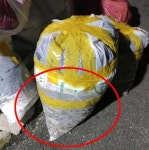 네이버 검색 결과 사진 2