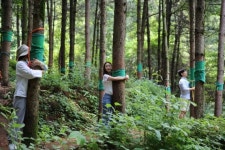 “숲속 휴가 떠날까”...산림복지진흥원, 이색 숲여행 ‘눈길’