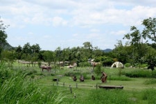 유네스코 연천-포천 한탄강 세계지질공원 현장평가