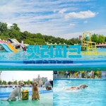 여름 대표 애견 페스티벌로 자리잡은 펫터파크