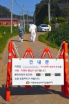 아프리카돼지열병 발생