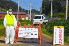 아프리카돼지열병 발생한 연천 돼지농장