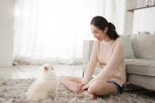 털날림, 오줌냄새..반려동물 있다면 위생 관리 이렇게