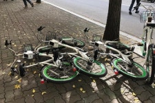 빌려쓰는 자전거라고 막 다루나요?.. 따릉이 수난시대 [당신의 양심]