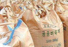 강원도 올해 공공비축미1만6877톤 매입...전년대비 448톤 감소