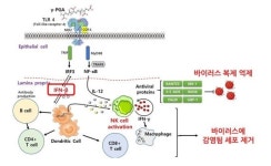 바이오리더스, 피지에이연질캡슐·폴리뮨 ‘신종 코로나’ 면역력 증진 두각