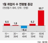 56만명 일자리 늘었지만 50만개가 60대이상 고용