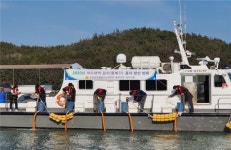 전남해양수산과학원, 꼼치 자원회복 어린 꼼치 방류