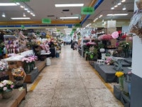 봄 왔다… 아니, 이곳은 장미꽃도 웃음꽃도 피지 않았다 [현장르포]