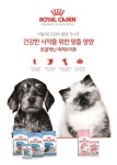 어릴때 건강이 평생간다..로얄캐닌코리아 건강한 시작’ 캠페인 전개