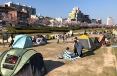 [르포] 울산 경제회복 신호탄?...젊음의 거리 삼산동 식객들로 바글바글