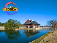 슬기로운 집콕족 통신사 VR·AR에 빠졌다