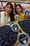 롯데마트, 황금당도 블루베리 판매