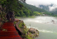 홍천·인제 등 국가 숲길 한시적 개방