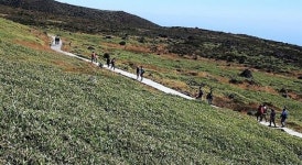 황금연휴 첫날, 제주도 관광객이 가장 몰린 곳은 ‘한라산’