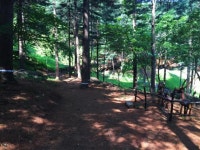 포천시 하늘아래 치유의숲 6일 운영재개