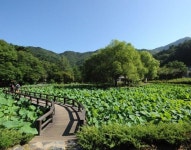 홍천군, ‘수타사 산소길’, ‘정희왕후길’로 명칭 변경 추진