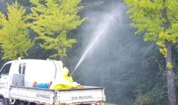 춘천지역 농림지 60ha 지상방제 완료