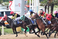 제주경마공원 20일 무관중 경마 재개…한라마 ‘전농왕’ 우승