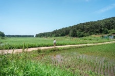 답답한 마음이 뻥 뚫리는 섬 속 걷기여행
