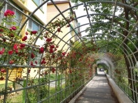 [포토뉴스] 의정부 G&B 명소, 호원1동