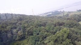 [fn패트롤] 29년 동안 지정·재지정 반복…황폐화한 금강호 관광지