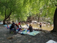 [포토뉴스] 양평 사나사-중원계곡 원상복구