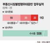 정부 부동산대응반 내사 절반이 혐의 없음