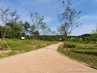 의정부시 포스트코로나 도심공원 관리 ‘다채’