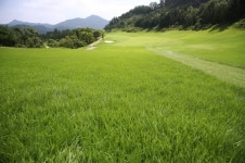 엘리시안 강촌CC, 장타+정확도 동시 요구 정통 토너먼트 코스로 변신